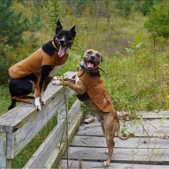 Carhartt Other - Pets ,dogs,accessories